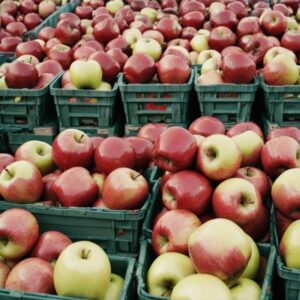 Rynkowa konkurencja a ceny jabłek w Niemczech